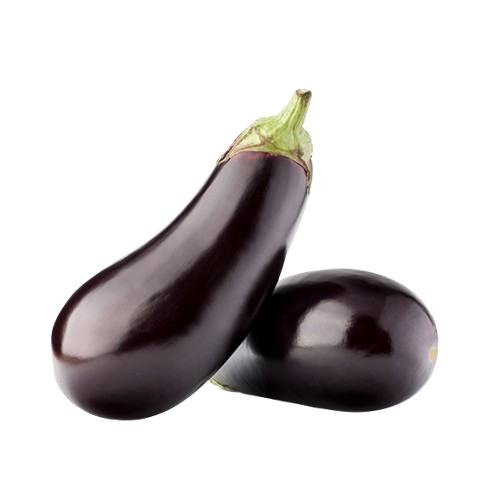 Patlıcan