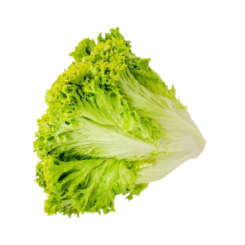 Maydanoz